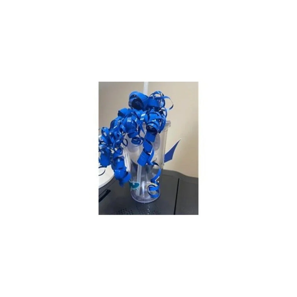 Maars BPA free 16 oz Tumbler Dory Finding Nemo